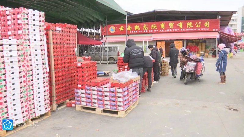 云南批发